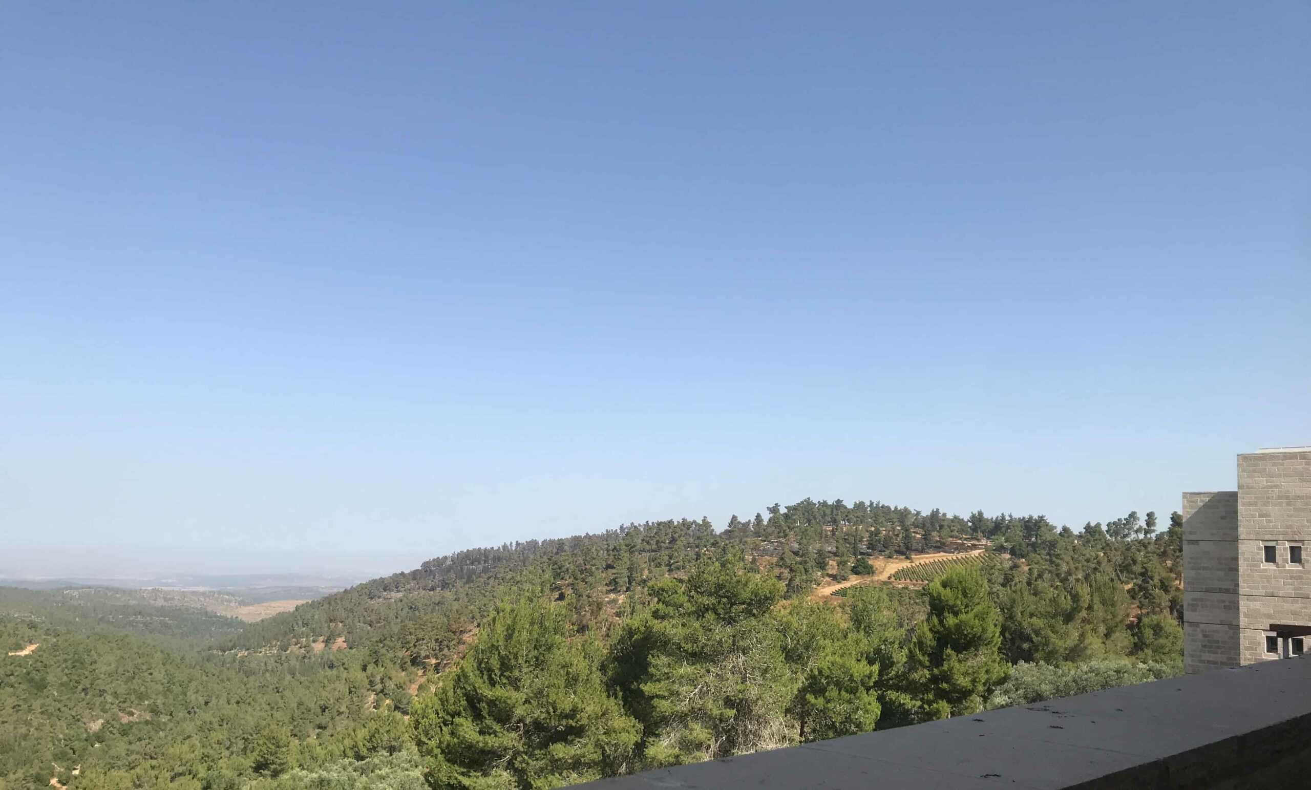Controlado el incendio en el bosque cercano a Saxum