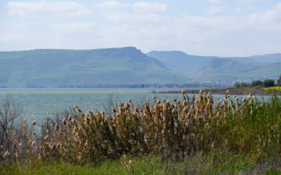 The Winds at the Sea of Galilee