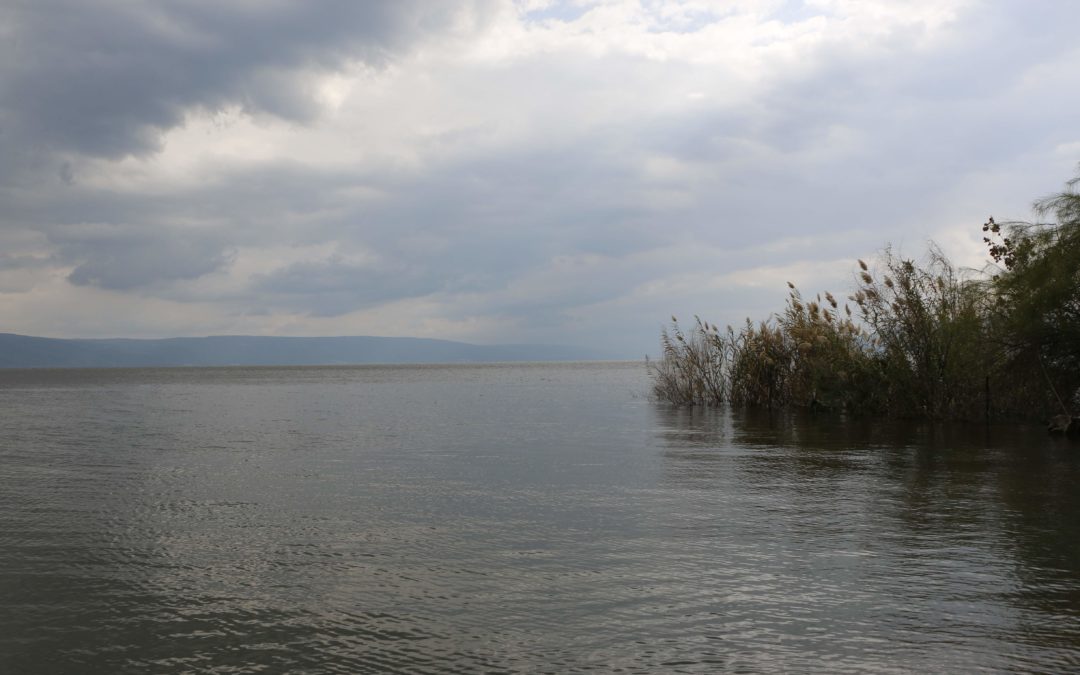 The Good and Bad Fish in the Sea of Galilee