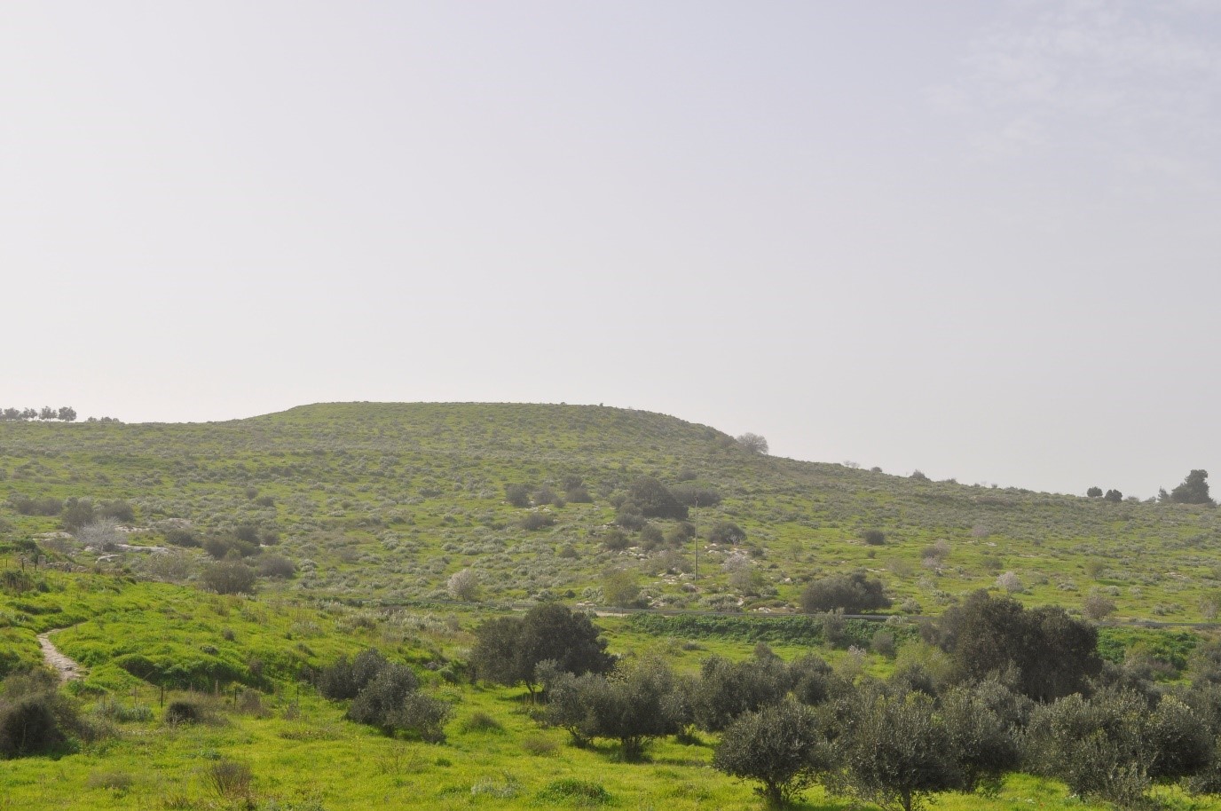 The surroundings of Maresha in springtime. Photo: Henri Gourinard