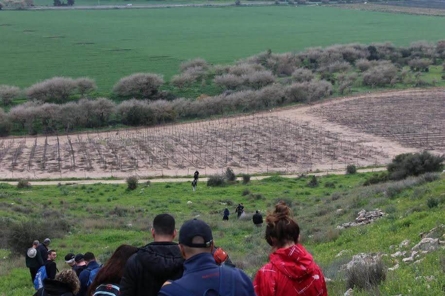 bajando de Khirbet Qeyafa hacia Emeq ha-Ela. El lecho del arroyo está marcado por una línea de terebintos (árboles grises en la foto). Lior Peleh.