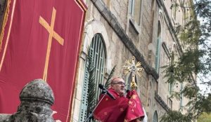 Card. Pierbattista Pizzaballa, Bendición el Domingo de Ramos, Semana Santa 2025