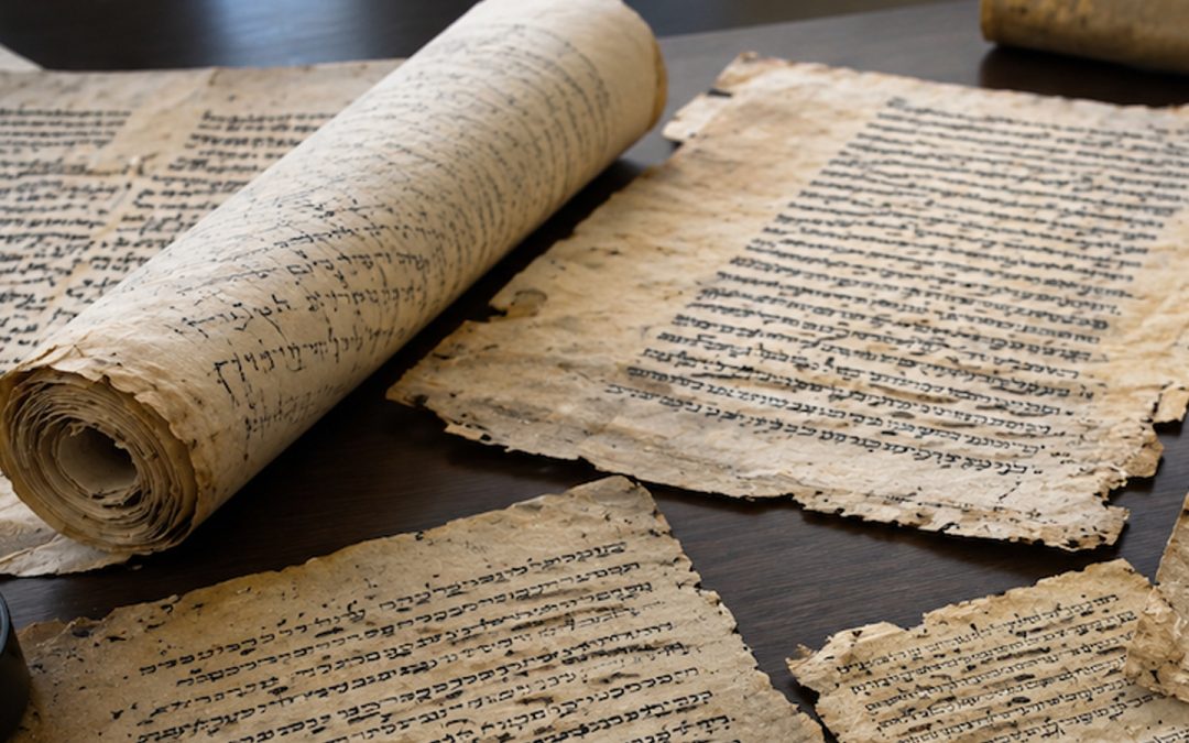 Los cánones de la Biblia: qué diferencias increíbles existen entre las distintas Biblias
